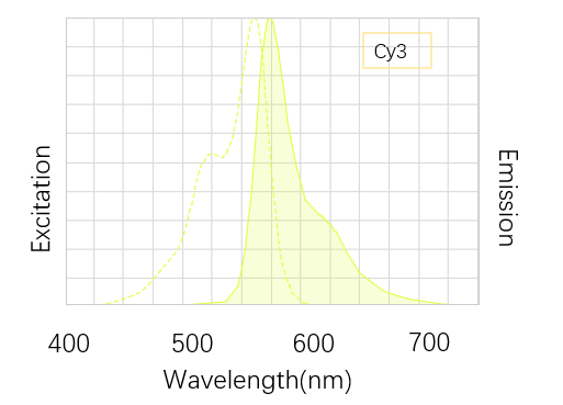 Fig. Cy3 dye is a bright, orange-fluorescent dye.