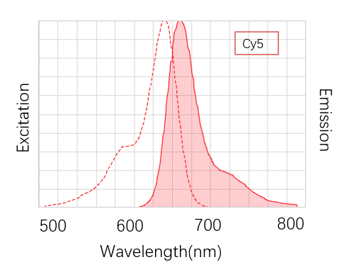 Fig. Cy5 is a red  near infrared fluorescent dye, which has low background, high  fluorescence intensity and  good stability.