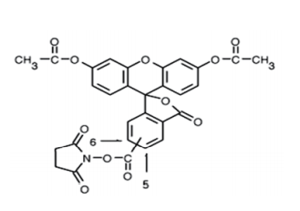 Fig. 5(6)-CFDA, SE structure formula