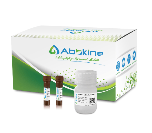 Fig. Abbkine Annexin V-AbFluor™ 405 Apoptosis Detection Kit allows the identification and quantitation of intact cells, early apoptotic and late apoptotic or necrotic cells by flow cytometry or fluorescence microscopy.