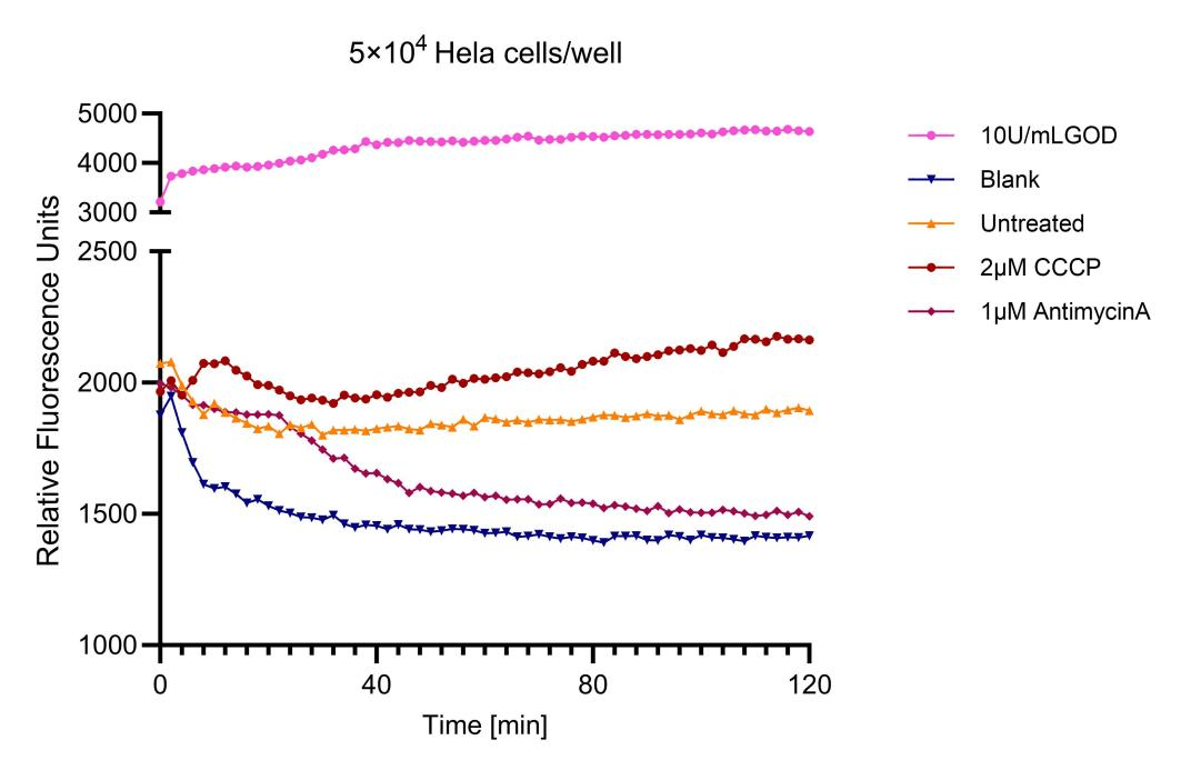 Figure 2. Linear regression fit of fluorescence values over time in the kinetic curve of Hela cell extracellular oxygen consumption