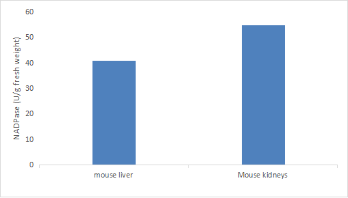 Fig.CheKine™ Micro NADP Phosphatase (NADPase) Activity Assay Kit