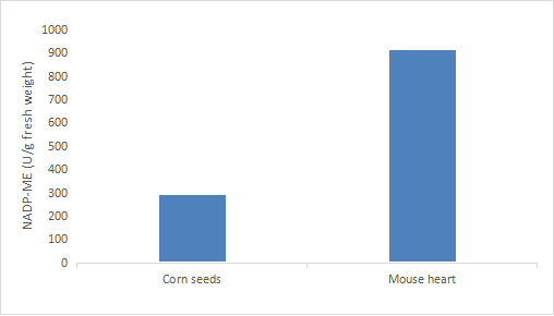 Fig.CheKine™ Micro NADP Malic Enzyme (NADP-ME) Activity Assay Kit