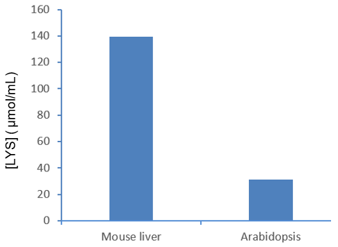 Fig.2 Lysine content in Mouse liver and Arabidopsis respectively.
