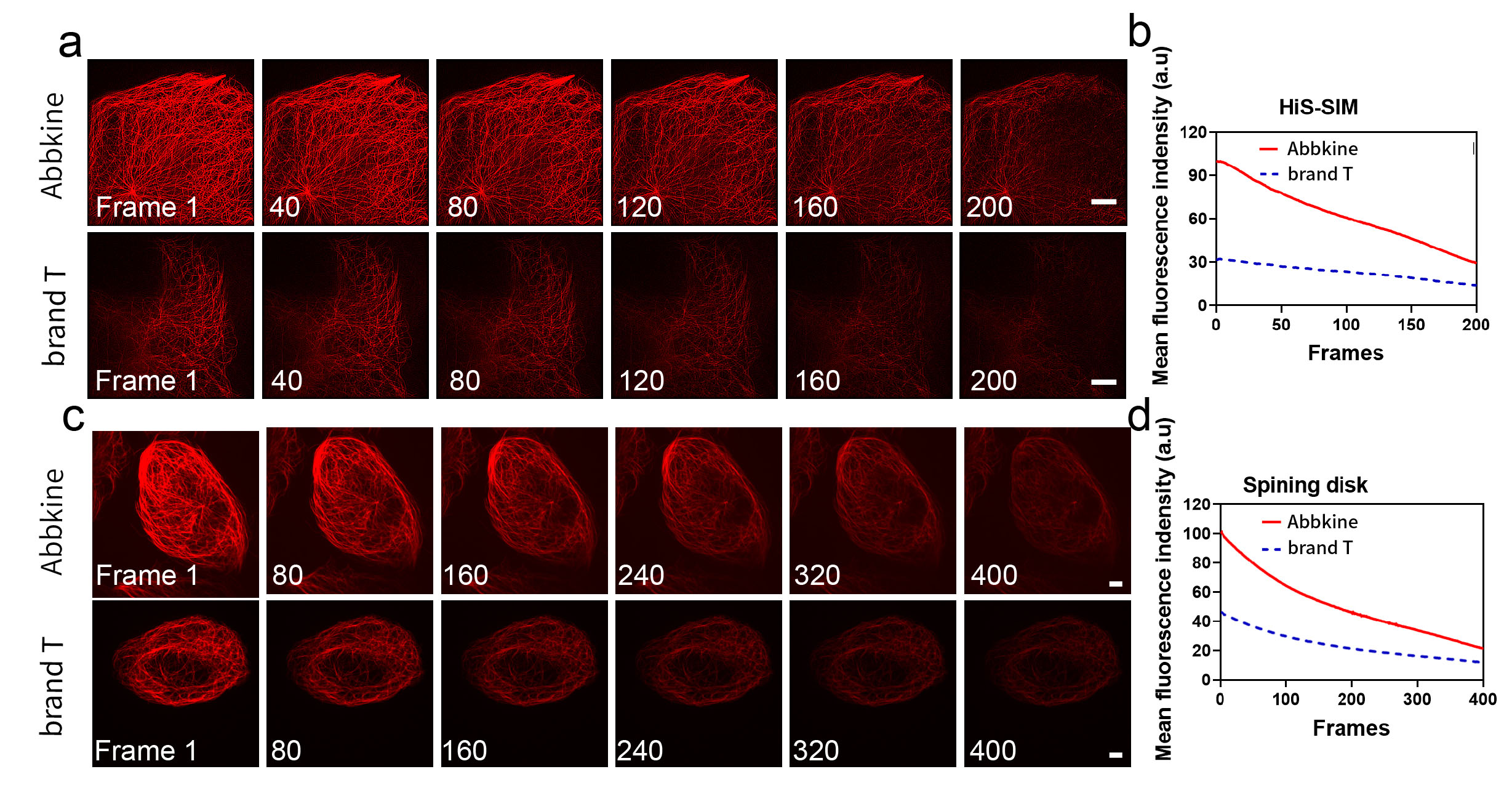 Fig. Long time series images (a, c) and corresponding fluorescence bleaching curves (b, d) were obtained by using HiS SIM Abbkine TraKine™ Pro Live-cell Tubulin-traker kit (Red Fluorescence)and Spining disk confocal microscopy of Tubulin  and commercially available Tubulin Tracker Green on U-2 OS cells, respectively. Scale bars: 5 μM.