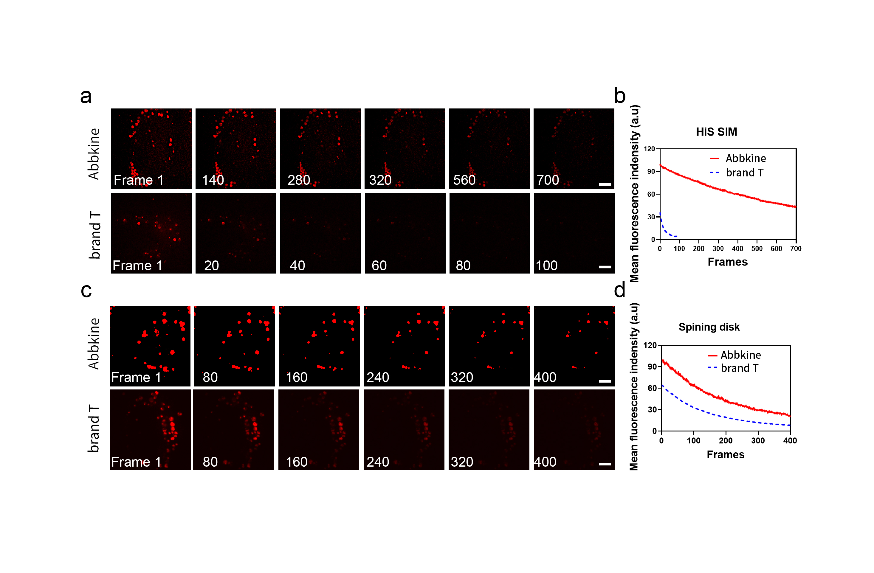 Fig.1.Long time series images (a, c) and corresponding fluorescence bleaching curves (b, d) were obtained by using HiS SIM Abbkine TraKine™ Pro Live-cell Lyso-traker kit (Red Fluorescence) and Spining disk confocal microscopy of Tubulin Green and commercially available Lyso Tracker on U-2 OS cells, respectively. Scale bars: 5 μM.