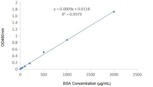Fig. Super-Rapid Protein Quantification Kit (BCA Assay) standard curve.