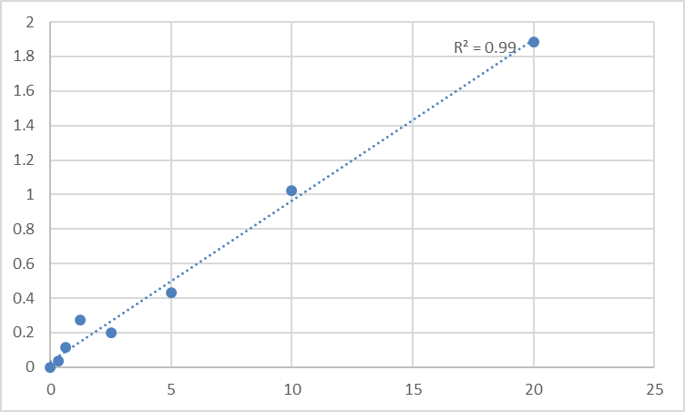 Fig.1. Human Dual specificity protein phosphatase 6 (DUSP6) Standard Curve.