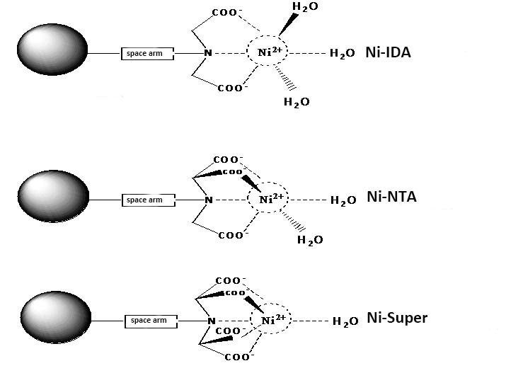 Structure of Ni-IDA, Ni-NTA and Ni-Super