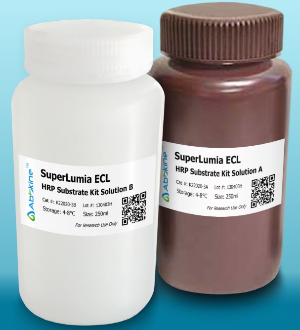 The SuperLumia ECL Plus HRP Substrate Kit is another breakthrough recovery from Abbkine Scientific