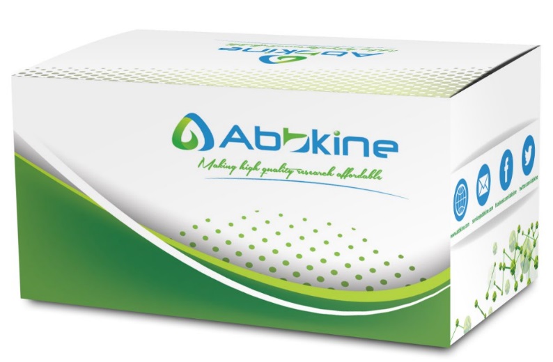 Dextrin – a new high performance, cost effective purification kit from Abbkine Scientific
