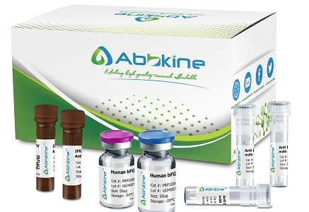 Abbkine Scientific Announces There Newly Improved Antibody Purification Protein AG Kit