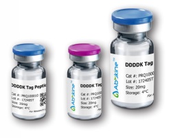 PurKine™ Anti-DDDDK Tag Resin 4FF is the latest addition to the Abbkine PurKine™ resin family