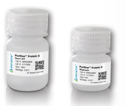 PurKine™ Antibody Purification Protein G Kit