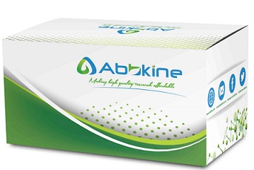 Abbkine Scientific launches the PurKine™ Protein AminoBind Resin 4FF for researchers and investigators