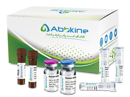 PurKine™ Protein SulfyBind Resin is the latest addition to the Abbkine resin family