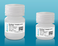 PurKine™ Protein AG Resin 4FF