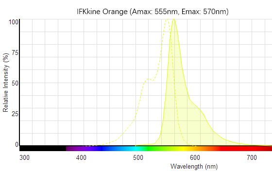 IFKine™ Orange Donkey Anti-Mouse IgG becomes the new addition to the Abbkine family