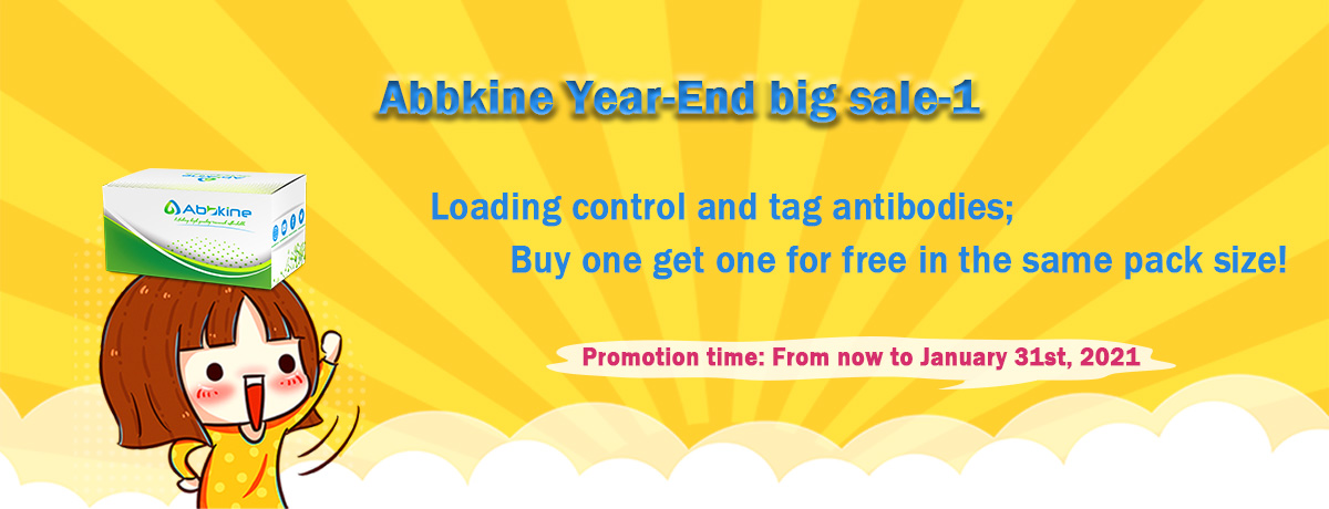 Abbkine Year-End promotion-1