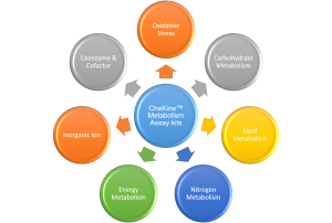 CheKine™ Metabolism Assay kits