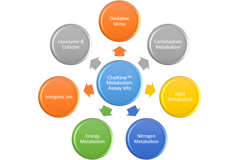 Metabolism Assay kits, We have all the kinds you need！ Abbkine