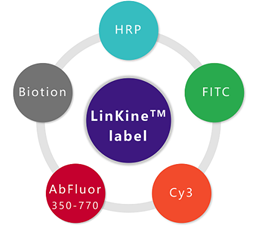 LinKine™ coupling series product line