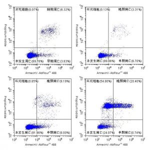 Annexin V-AbFluor™ 488（2）