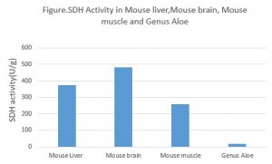 Succinate dehydrogenase